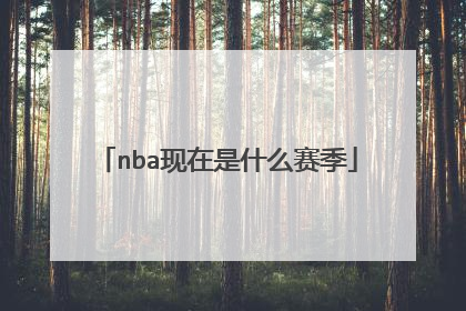 nba现在是什么赛季