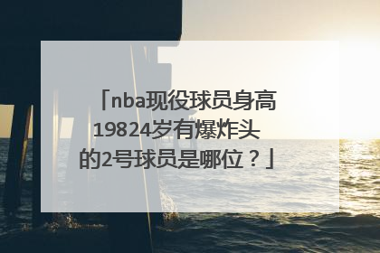 nba现役球员身高19824岁有爆炸头的2号球员是哪位？