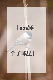 nba矮个子球星