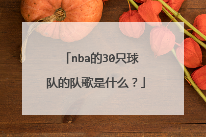 nba的30只球队的队歌是什么？