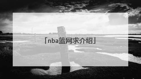 nba篮网求介绍
