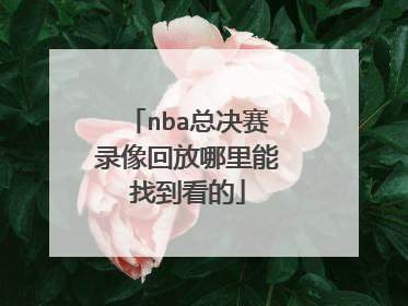 nba总决赛录像回放哪里能找到看的