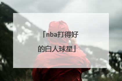 nba打得好的白人球星