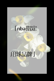 nba指定用球品牌