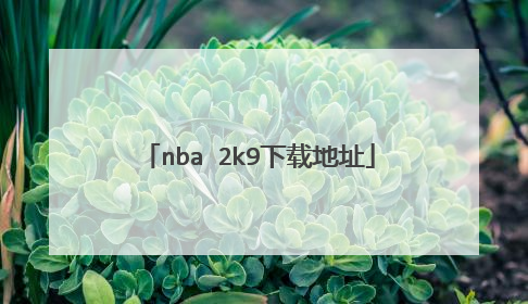 nba 2k9下载地址