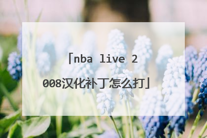 nba live 2008汉化补丁怎么打
