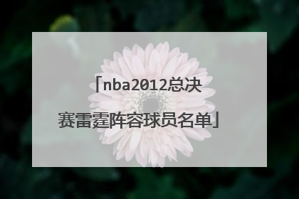nba2012总决赛雷霆阵容球员名单