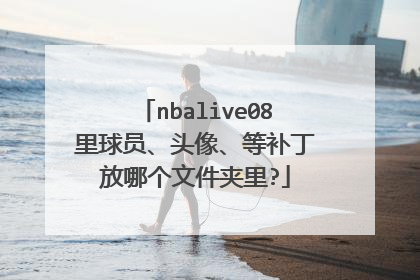 nbalive08里球员、头像、等补丁放哪个文件夹里?