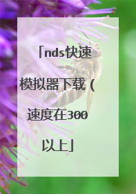 nds快速模拟器下载(速度在300以上