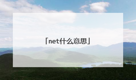 net什么意思
