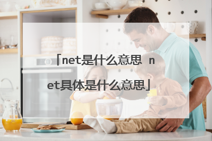 net是什么意思 net具体是什么意思