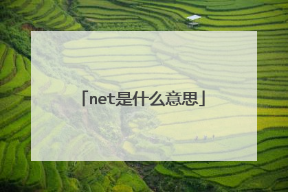 net是什么意思