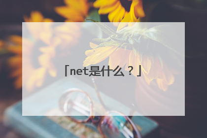 net是什么?