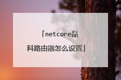 netcore磊科路由器怎么设置