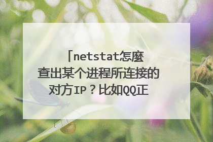 netstat怎麼查出某个进程所连接的对方IP？比如QQ正在聊天的对象