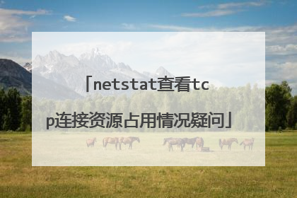 netstat查看tcp连接资源占用情况疑问