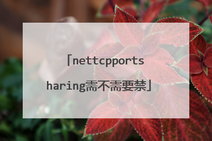 nettcpportsharing需不需要禁