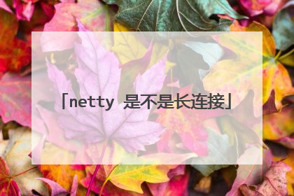 netty 是不是长连接