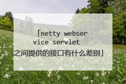 netty webservice servlet 之间提供的接口有什么差别