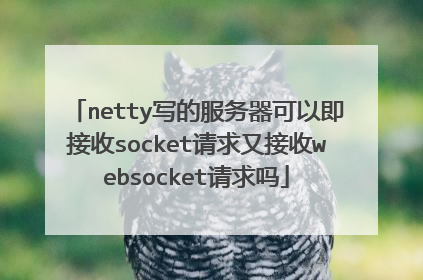 netty写的服务器可以即接收socket请求又接收websocket请求吗