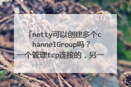 netty可以创建多个channelGroup吗？一个管理tcp连接的，另一个管理websocket连接的channel。