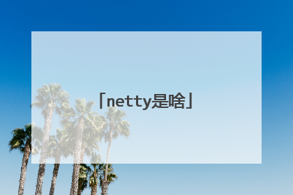 netty是啥