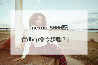 nexus 5000配置dhcp命令步骤?