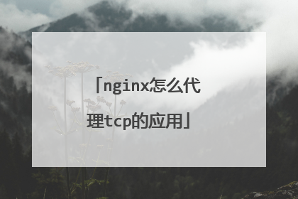 nginx怎么代理tcp的应用