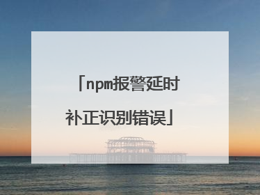 npm报警延时补正识别错误