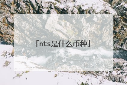 nts是什么币种