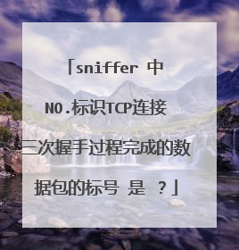 sniffer 中NO.标识TCP连接三次握手过程完成的数据包的标号 是 ?