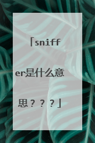 sniffer是什么意思???