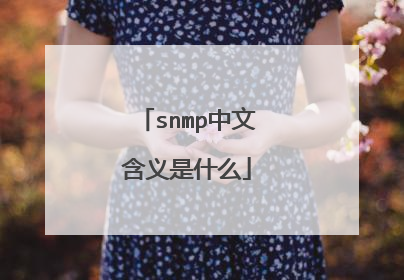 snmp中文含义是什么