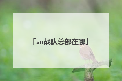 sn战队总部在哪