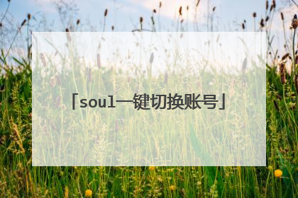 soul一键切换账号