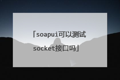 soapui可以测试socket接口吗