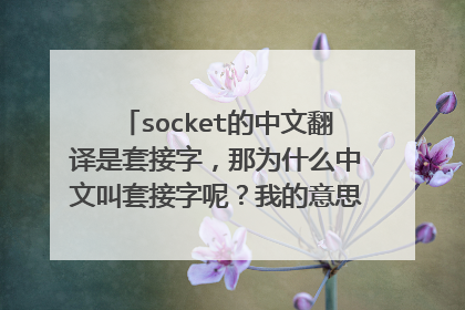 socket的中文翻译是套接字,那为什么中文叫套接字呢?我的意思是套接字到底表现了socket的什么特点