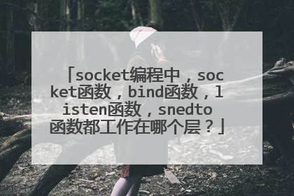 socket编程中,socket函数,bind函数,listen函数,snedto函数都工作在哪个层?