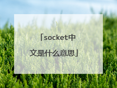 socket中文是什么意思