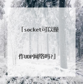 socket可以操作UDP网络吗?