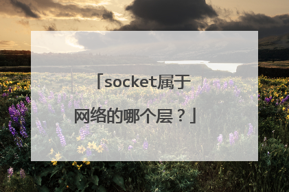 socket属于网络的哪个层?