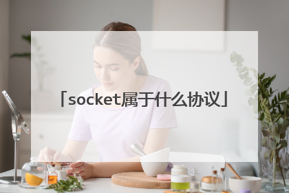socket属于什么协议