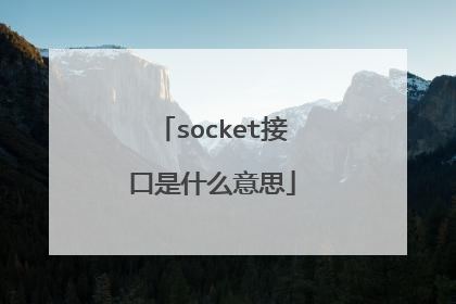 socket接口是什么意思