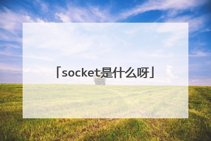 socket是什么呀