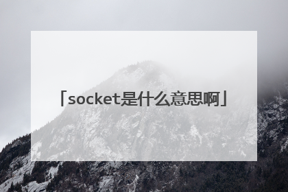 socket是什么意思啊
