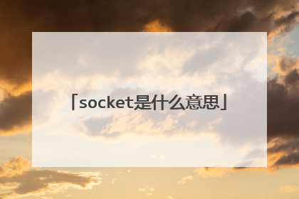 socket是什么意思