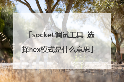 socket调试工具 选择hex模式是什么意思