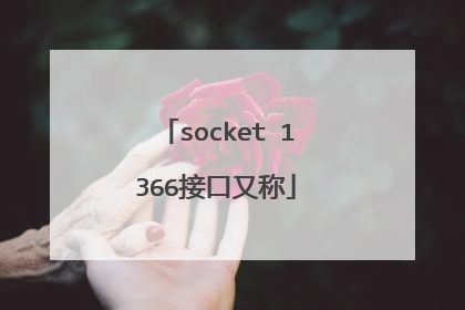 socket 1366接口又称