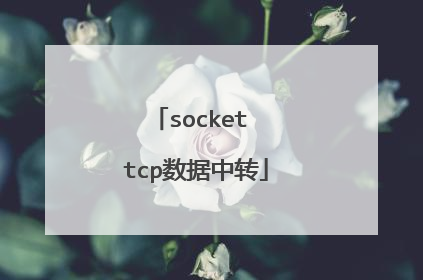 socket tcp数据中转