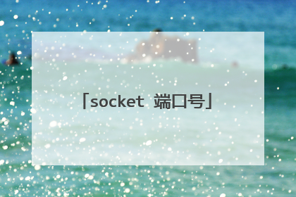 socket 端口号